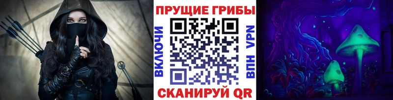 Псилоцибиновые грибы прущие грибы Вытегра